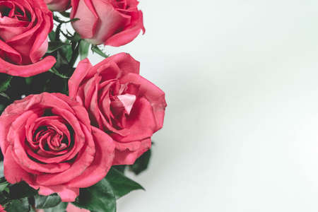 Flowers, with spaceの写真素材