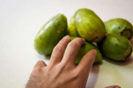 Prickly pear fruits. Male person hand taking a prickly pear.の写真素材