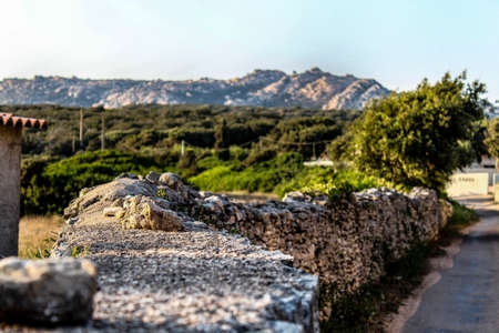 Rural atmosphere on the island of Corsicaの写真素材