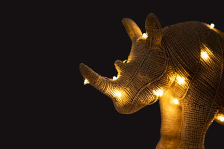 Rhinoceros decorating them with lightsの写真素材