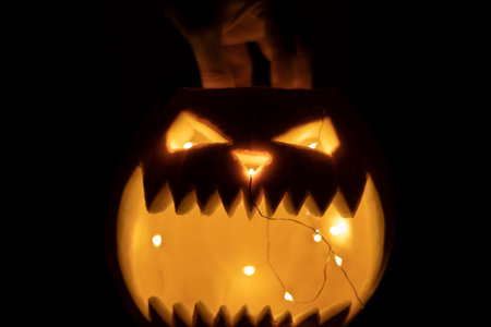 Halloween pumpkinの写真素材