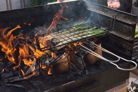BBQ-smoke. Food background. Detail of the flamesの写真素材