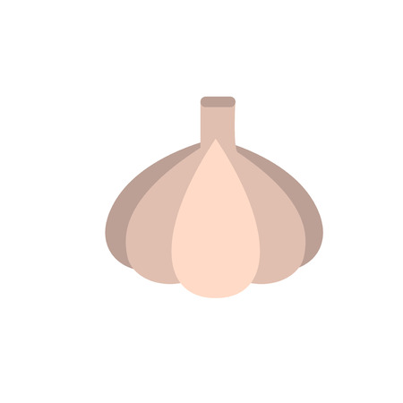 Fresh garlic vector sign. Fragrant garlic illustration. Ingredient for salad or meat. Vegetable from the gardenのイラスト素材
