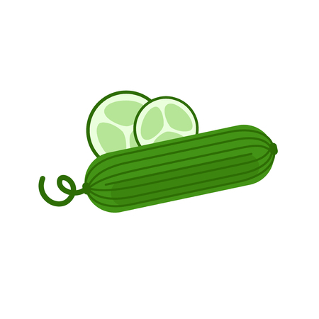 Fresh cucumber for vegetable salad. Green cucumber from the garden.のイラスト素材