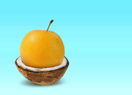 Photomontage of a greengage inside a coconut cut in half on a blue background. Combination of coconut with greengageの写真素材