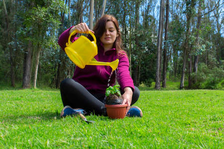 Beautiful Hispanic young woman watering water on a small plant inside a pot in her home garden during the morningの写真素材