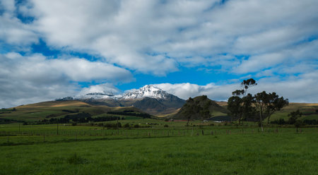 Panoramic view of ice-covered Los Ilinizas volcano over green fields with grazing cows and trees on a sunny day with blue sky - Ecuadorの写真素材