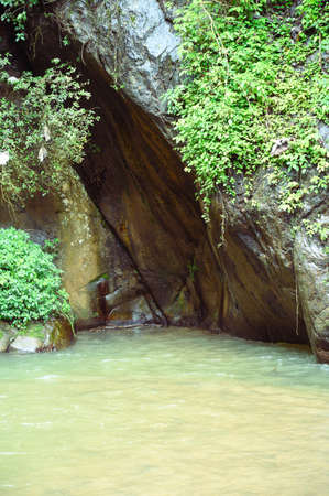 The photo shows a cave in the wild jungle, impassable forests prevented you from reaching this place. Here the water is muddy as it came down from a huge waterfall. Various plants are visible on rockの写真素材