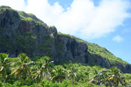 This photo shows how a rock protrudes from the fabulous jungle of the Dominican Republic. The rainforest of palms and other exotic plants is ideal for rock climbing. Its wild places of the Caribbean.の写真素材
