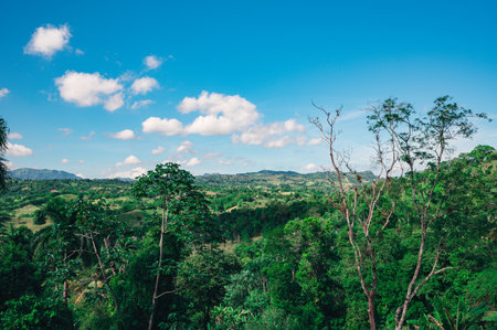 Beautiful view from height of tropics. HD foto of mountains landscape. Panorama view was make in caribbean island and 2000m altitude. Jarabacoa city is famous place of Dominican republic.の写真素材