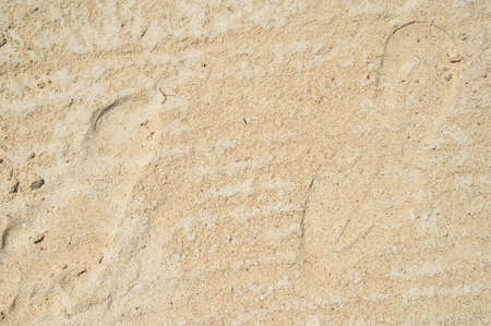 The photo shows two footprints on the white sand. picture taken on a beach in the Dominican Republic. The texture of the sand is authentic, immediately after the ocean low tide.の写真素材