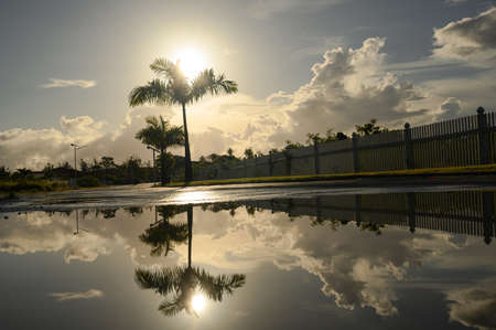 The photo was taken after the rain, the tropical landscape of the island is reflected in the water. The picture shows how the sun rises and reflects the view in the water.の写真素材