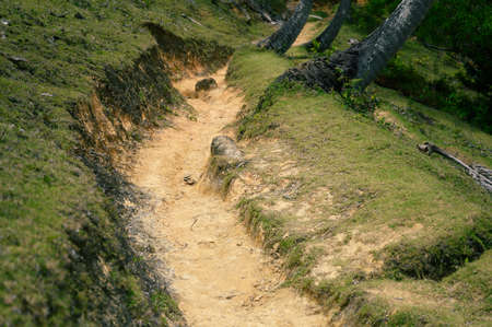 The photo shows a trail in the jungle between the mountains. The trail is pedestrian, but it also...