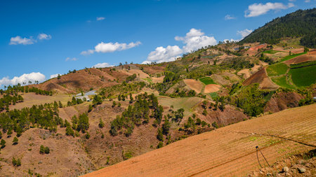 The use of highlands for agriculture. beautiful mountains in the Dominican Republic. popular tourist...
