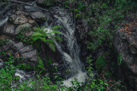 Photo shows a rocky gorge in which a mountain river flows. River flows through huge blocks of...