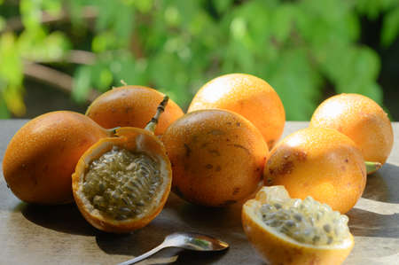 The photo shows an exotic fruit native to the tropics. The tropical fruit is called granadilla or...