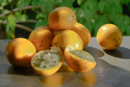 The photo shows an exotic fruit native to the tropics. The tropical fruit is called granadilla or...