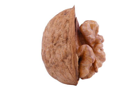 Walnut on white