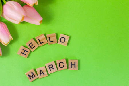 Hello, March. Wooden blocks with an inscription and tulips on a green background. The concept of the beginning of the long-awaited spring.の写真素材