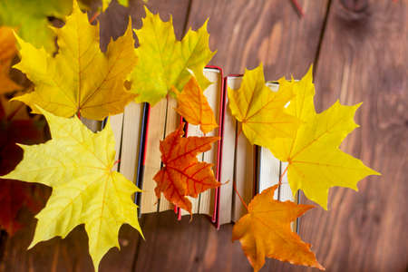 A stack of books with bright autumn leaves between the pages on a wooden rustic tableの写真素材