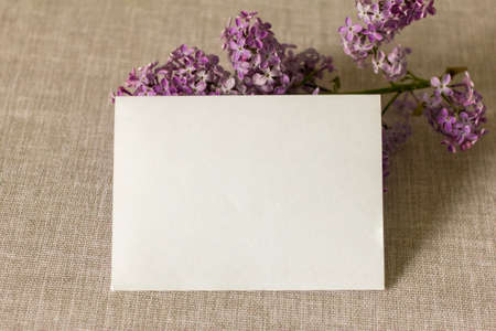 An empty layout of an invitation card or greeting card on a background of lilac flowers