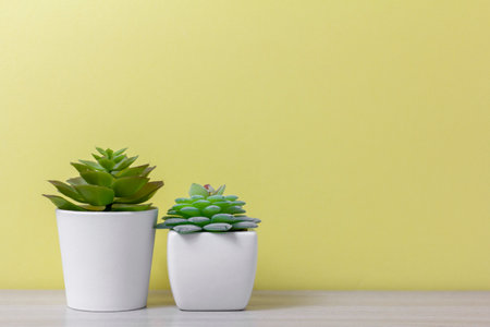 Indoor artificial plants, various succulents in pots. Succulents in white mini-pots. Ideas for home decoration.Copy spaceの写真素材