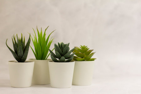 .Indoor artificial plants, various succulents in pots. Succulents in white mini-pots. Ideas for home decoration.Copy spaceの写真素材