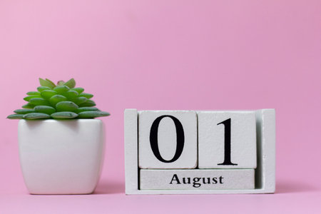 August 1 in the calendar on a pink background is the start date of a new monthの写真素材