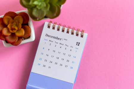 December calendar for 2024 on a colored background. Planning for every dayの写真素材