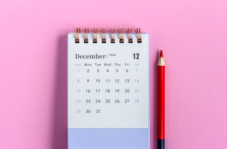 Calendar for December 2024 on a pink background