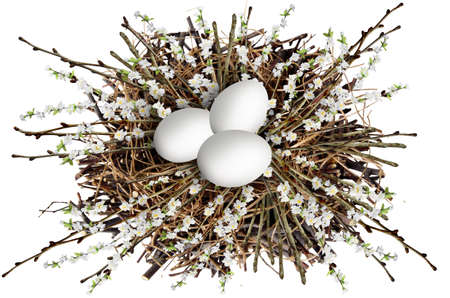 white eggs in a basket with willow twigsの写真素材