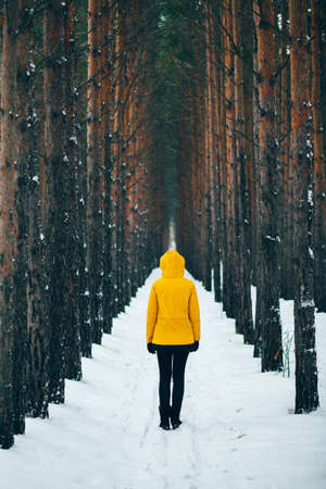 Road covered in snow, pine pine tree alley in winter time, man in yellow raincoat standing in the middle during snowfallの写真素材