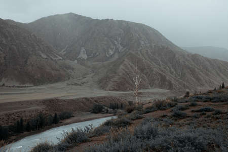 Katun River on a summer day, travel across Altai, mountain river.の写真素材