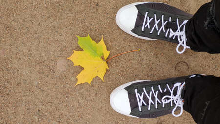 Legs in stylish sneakers and autumn yellow lonely leaf on the asphalt road.の写真素材