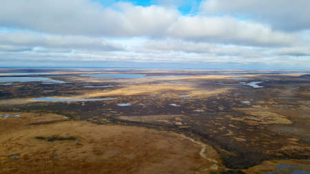 Tundra, aerial photography. Jamal Region, Russia. Landscapeの写真素材