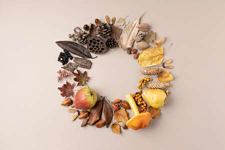 Autumn composition. Circle frame made of acorn, cone, mushrooms,  pea, dried leaves on pastel background. Autumn, fall concept. Flat lay, top view, copy space, circle.の写真素材