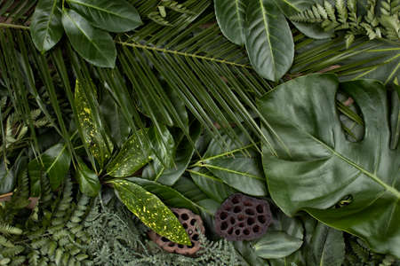 Creative tropical green leaves layout. Nature spring concept. Flat lay.の写真素材