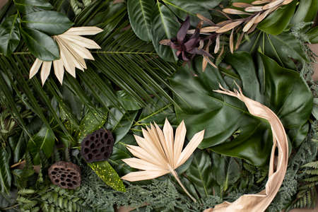 Creative tropical green leaves layout. Nature spring concept. Flat lay.の写真素材