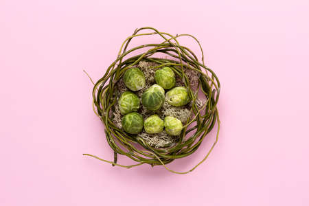 Broccoli in nest made of branches on pink background. Creative Fall concept. Minimal flat lay.の写真素材