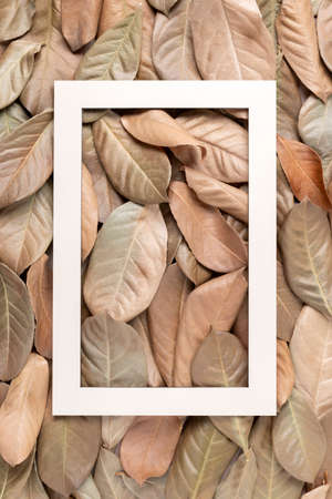 Modern Fall composition made of dry leaves with paper frame. Minimal Autumn concept. Flat lay.の写真素材