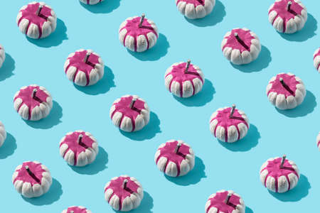 Autumn sunlit colorful pattern with pumpkins. Flat lay Thanksgiving or Halloween concept.の写真素材