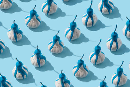 Autumn sunlit colorful pattern with pumpkins. Flat lay Thanksgiving or Halloween concept.の写真素材