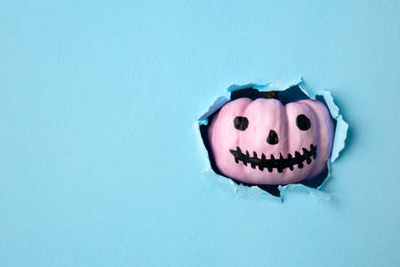 Halloween pumpkin or Jack-o'-lantern breaking through pastel blue wall. Minimal holiday celebration funny concept. Bright autumn season background.の写真素材