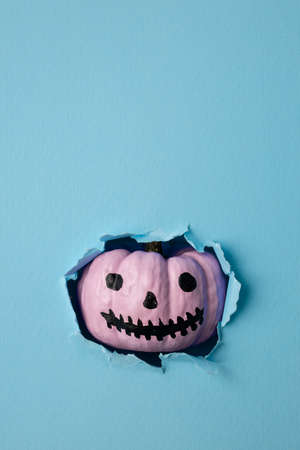 Halloween pumpkin or Jack-o'-lantern breaking through pastel blue wall. Minimal holiday celebration funny concept. Bright autumn season background.の写真素材