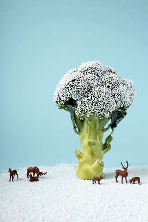 Broccoli representing winter tree with snow and miniature deer. Christmas background for holiday seasonal festive party celebration with healthy food decoration. Minimal winter concept.の写真素材