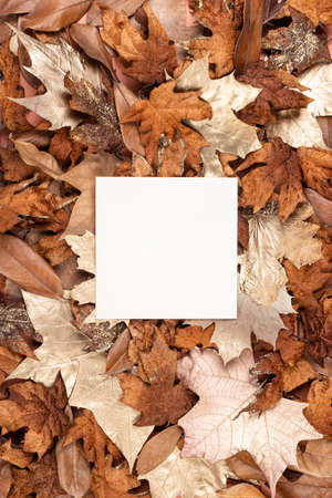 Autumn seasonal background frame with dry leaves and copy space. Minimal Fall concept. Flat lay.