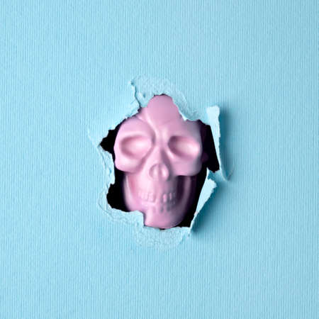 Halloween pink skull breaking through pastel blue wall. Minimal holiday celebration funny concept....