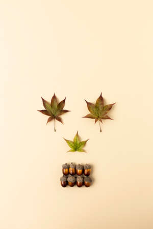Skull shape made with Fall leaves and fruits. Minimal Halloween background. Flat lay, top view.の写真素材