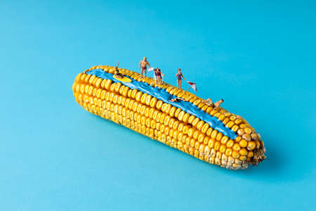 Creative layout made with corn, paint river and miniature people on blue background. Minimal vacation concept. Flat lay.の写真素材
