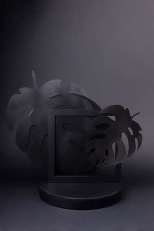 Luxury square podium with palm leaves and frames on black background. Concept scene stage showcase,...